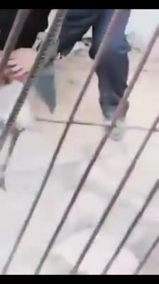 wp_story1611450410230_0.mp4